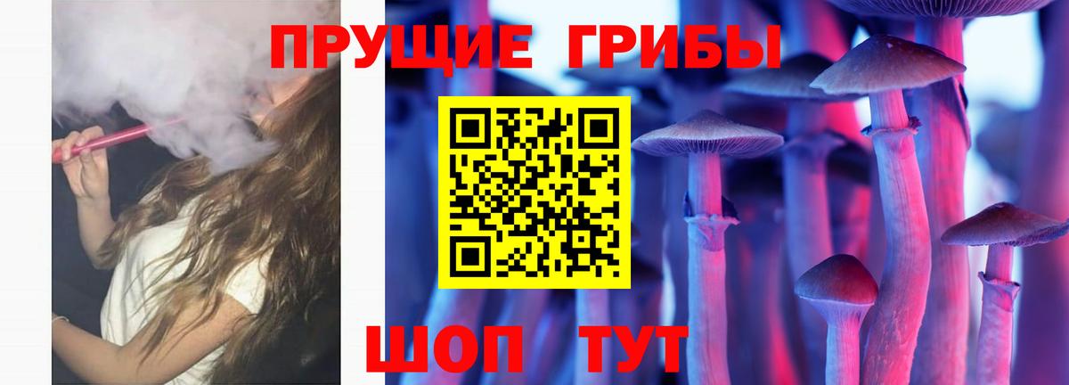 Лысьва  Псилоцибиновые грибы прущие грибы  наркотики  Вход с VPN  Галлюциногенные грибы Psilocybe 